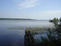 В Нечкино создали маршрут для начинающих экстремалов