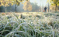 В ночь на вторник в Удмуртии похолодает до -2°С