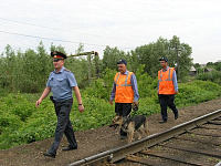 Дети в Удмуртии чуть не пустили под откос несколько поездов