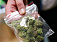 Пакет марихуаны изъяли у жителя Сарапула