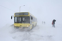 На «Ижевскую винтовку» болельщиков доставят за 14 рублей