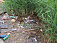 Береговую зону Ижевского водохранилища очистили от мусора