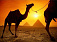 Туристы Удмуртии вместо Турции предпочитают Египет