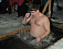 Фоторепортаж: в Лудорвае купальщиков отпаивали горячим чаем