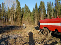 Природный пожар вспыхнул в Воткинском районе