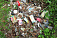 Территорию Увинского лесничества очистили от мусора 