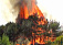Лесные пожары в Удмуртии не превысили площадь в 1 гектар 