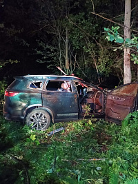 Два человека погибли в столкновении автомобиля и лося