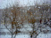 Мокрый снег ожидается в Удмуртии в понедельник, 23 апреля