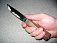 Набросившегося на гостей с ножом жителя Дебесского района проверят на вменяемость
