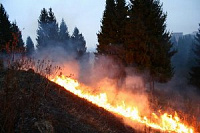 Пожарные Удмуртии спасли от огня лесной заповедник в Вавоже