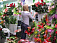 Жительница Игринского района обокрала цветочный магазин
