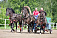Выставка лошадей «Золотая Вятка-2015» прошла в Якшур-Бодьинском районе