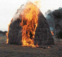 Сено на 700 тысяч сгорело в Удмуртии