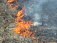 Обстановка с пожарами в Удмуртии резко обостряется