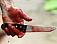 Преступник ударил ножом инвалида за обручальное кольцо в Ижевске