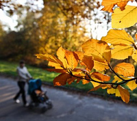 Столбик термометра подымется на этой неделе до +6°C в Удмуртии 