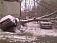 Мокрый снег повалил около 500 деревьев в Москве