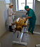 Хирургический кабинет для животных появился в Завьяловском районе