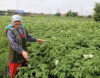 «Бурановские бабушки» отдыхают от гламура