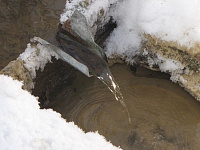 В Ижевске на качество проверили воду в 14 родниках