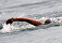Пловцы из Удмуртии завоевали три медали на российском первенстве в Анапе