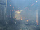 На пожаре в Удмуртии погибли 50 телят