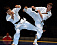 Около сотни медалей завоевали юные спортсмены Удмуртии на играх по боевым искусствам