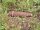 Реактивный снаряд  найден  в лесу Малопургинского района