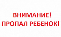 Жители Ижевска и Сарапула ищут пропавшего в лесу школьника