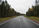 Новая дорога между Удмуртией и Кировской областью появится к 2022 году