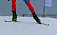 Лично-командное Первенство Удмуртии по лыжным гонкам прошло в Балезино