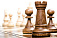 Инвалиды Ижевска сразятся в шахматном турнире
