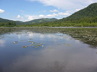 Российская пловчиха утонула во время заплыва