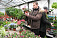 Накануне 8 марта в ижевских магазинах образовался дефицит на розы и тюльпаны
