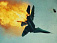 Во время тренировки в Южной Корее разбился истребитель F-5