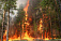 Лесные пожары, выжигающие Россию, способствуют глобальному потеплению