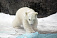 Зоопарк Удмуртии 1 января будет работать бесплатно