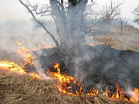 В Удмуртии разводить костры запрещается