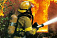 Шесть пожарных машин тушат дом в московском поселке «Речник»