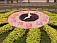 Впервые  на выставке «Цветы Удмуртии-2010» появятся цветочные часы и цитрусовый сад
